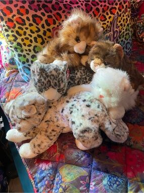 Ty bundle of 5 cats plush